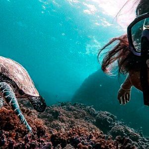 Snorkeling & Diving at Caño Island Biological Reserve