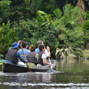 Tortuguero Silent Canoe Tour Expedition
