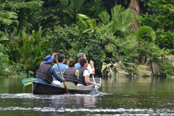 Tortuguero Silent Canoe Tour Expedition