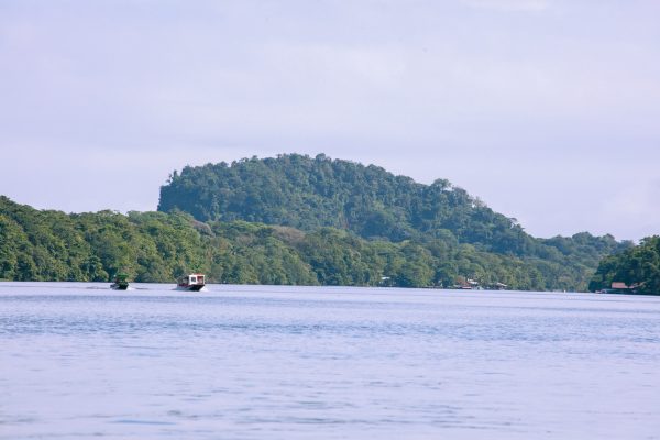 Exclusive San Francisco Tortuguero Wildlife & Heritage Experience