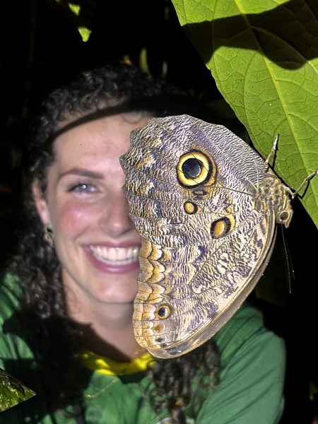 Tortuguero Private Butterfly Sanctuary Experience